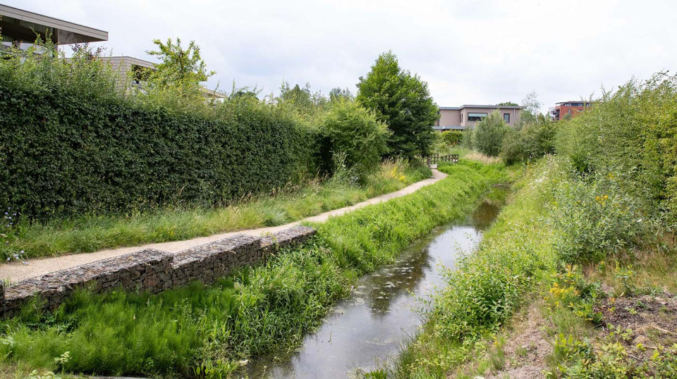 De natuurlijke beplanting bestaat uit biodivers groen en ruigte / kruidenvegetatie.