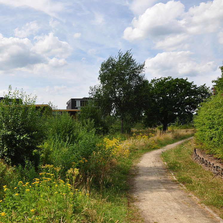 Rundgraaf Veldhoven   Projecten   Hyperlink