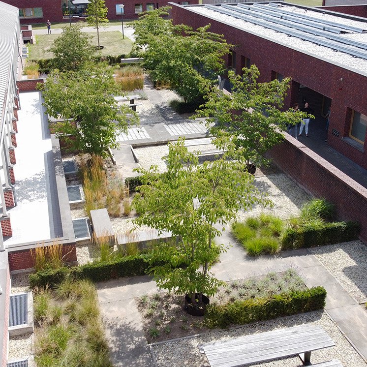 De groenblijvende hagen omkaderen de verschillende tuinkamers welke zijn eigen meubilair hebben.