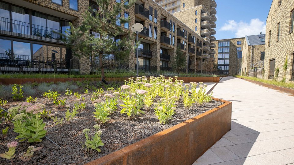 We brengen ecologie aan in de stad door de moderne cortenstalen bakken te voorzien van biodiverse beplanting.