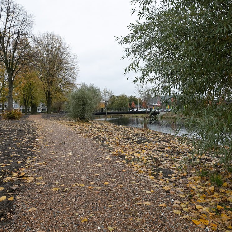 Bomen die na onderzoek niet meer toekomstbestendig bleken zijn gekapt en hergebruikt voor de inrichting van de natuurspeeltuin.