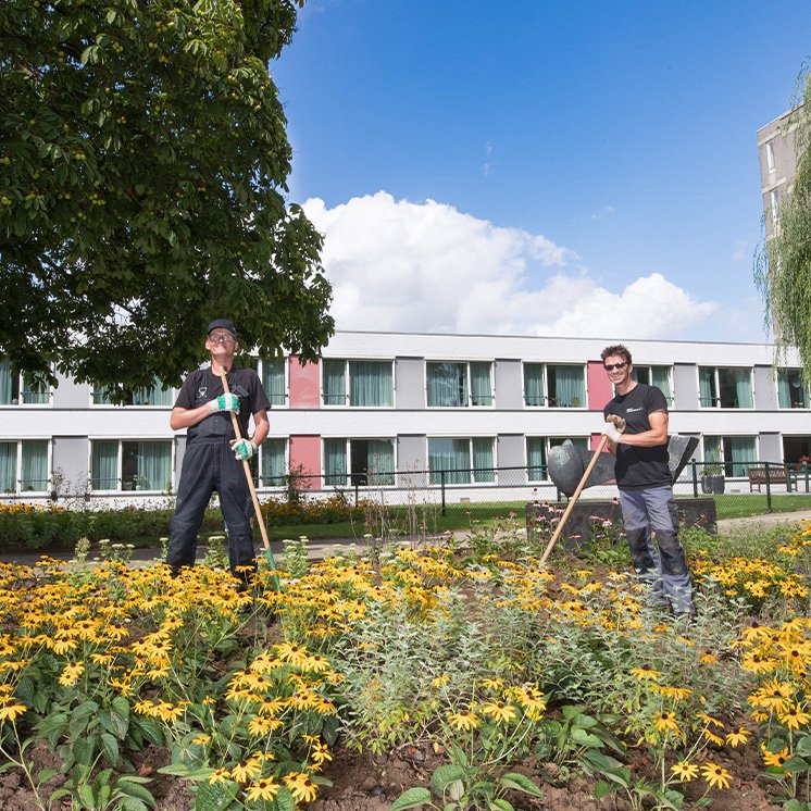 De medewerkers van Dolmans Monsdal Limburg Zuid zijn voor Mondriaan de ogen en oren in het veld op het gebied van planmatig onderhoud.