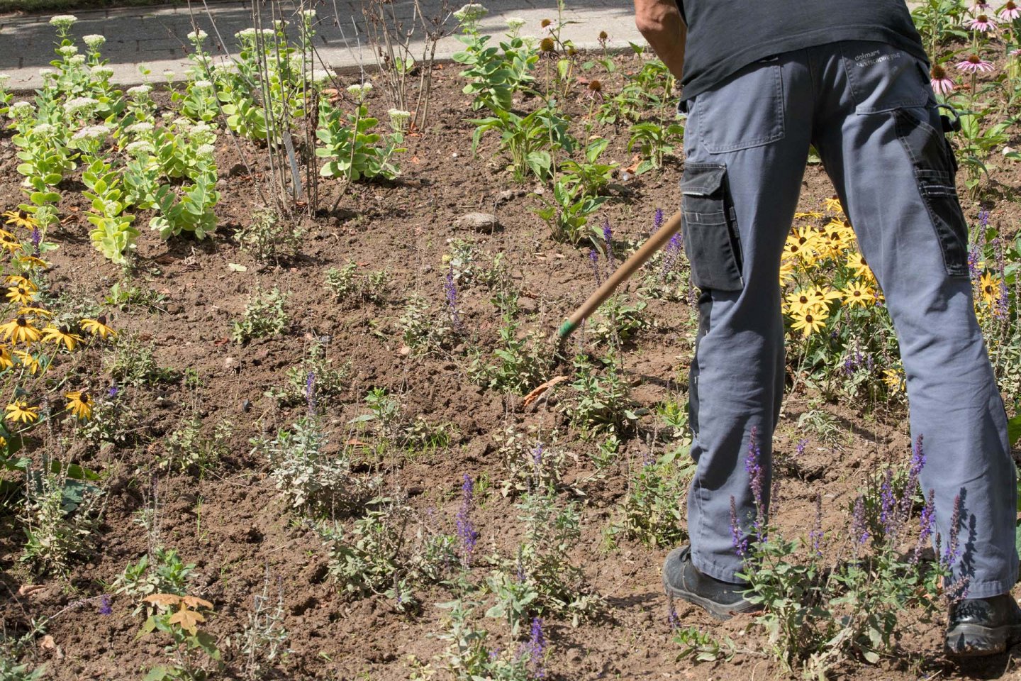 De medewerkers van Dolmans Monsdal Limburg Zuid zijn voor Mondriaan de ogen en oren in het veld op het gebied van planmatig onderhoud.