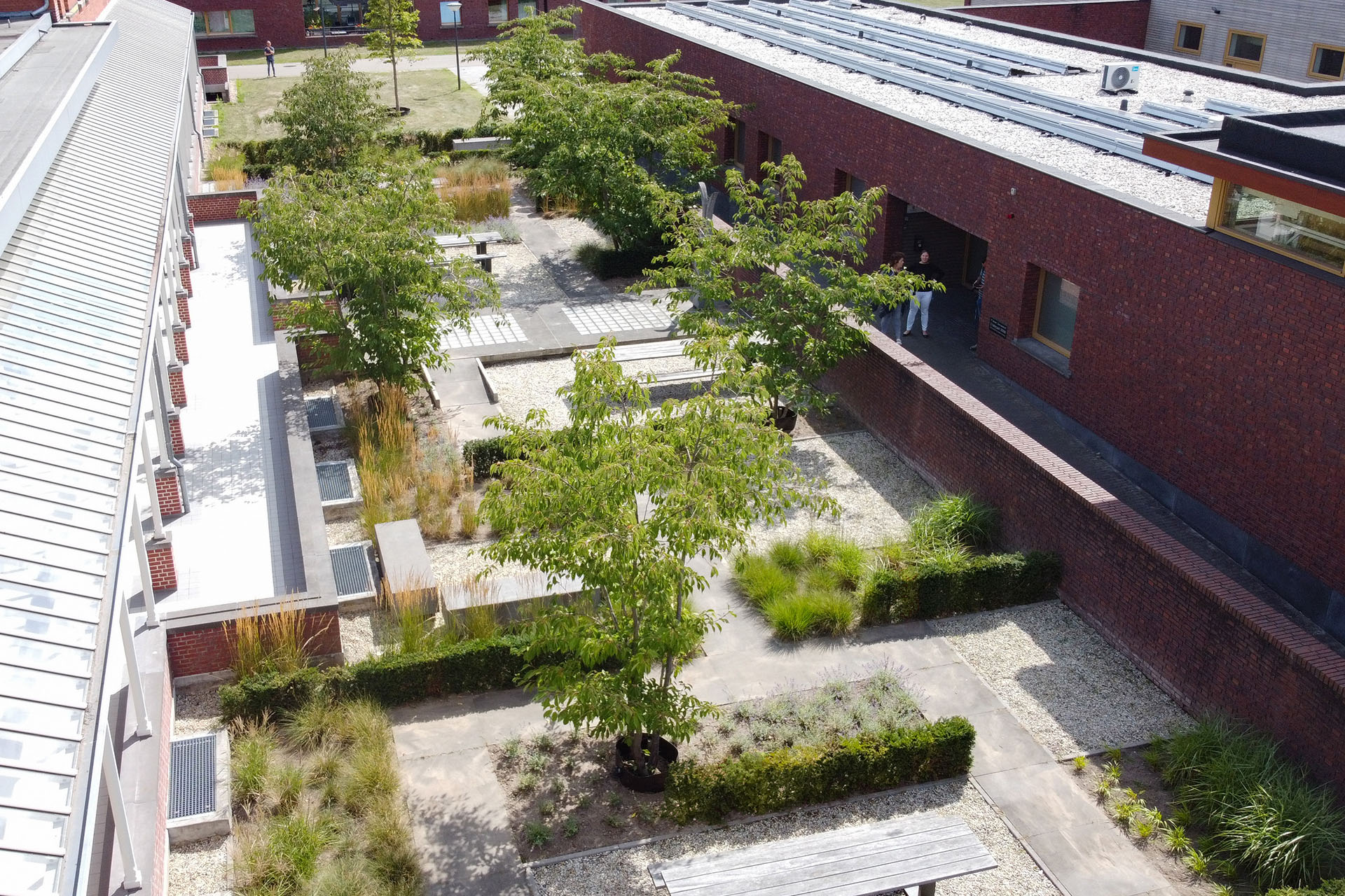 De groenblijvende hagen omkaderen de verschillende tuinkamers welke zijn eigen meubilair hebben.